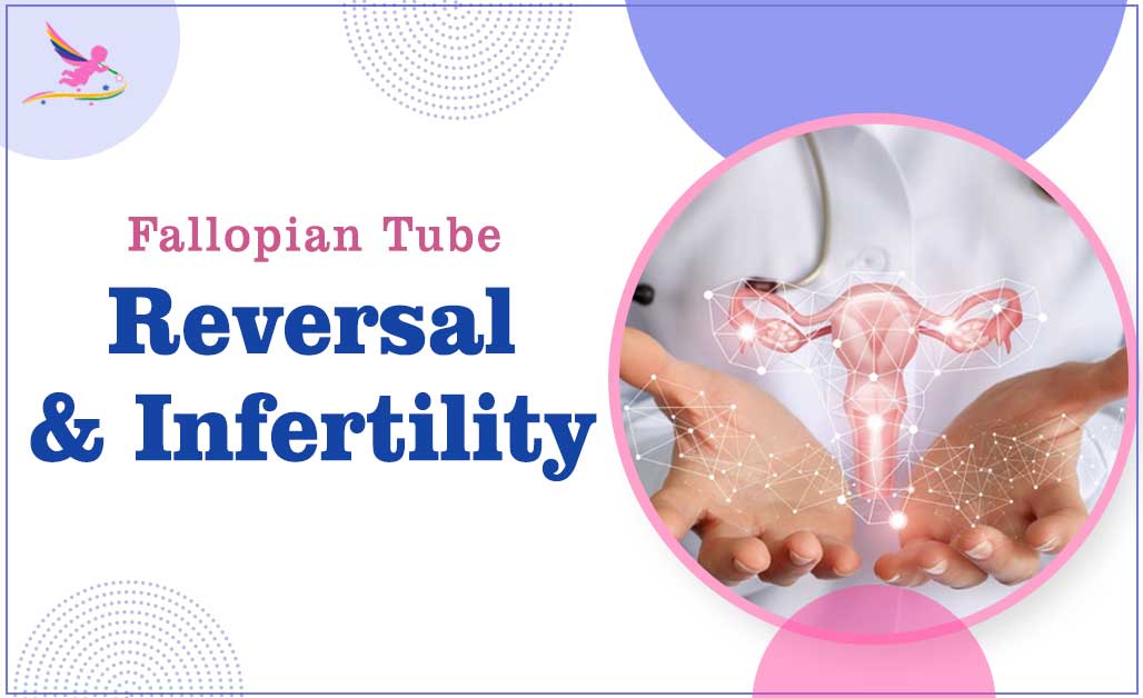 Fallopian Tube Reversal and infertility