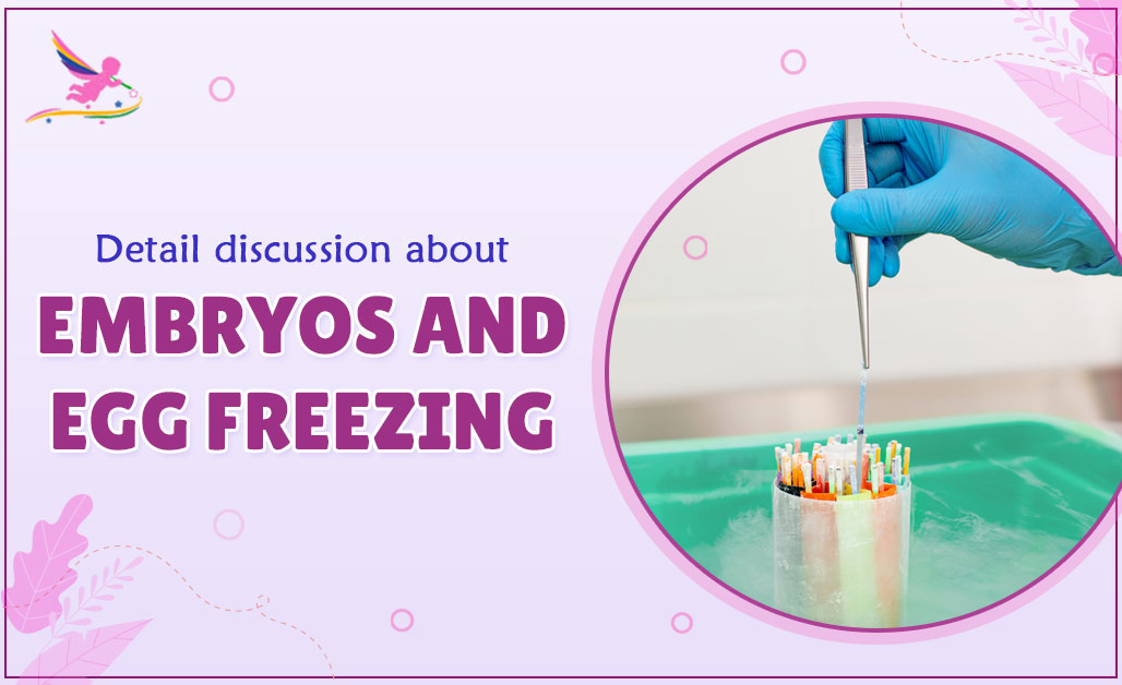 Detail discussion about embryos and egg freezing